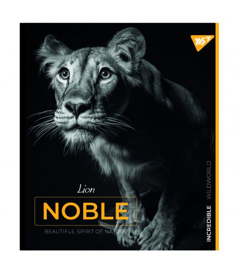 Зошит YES Noble 24 аркушів лінія - фото 1 з 5